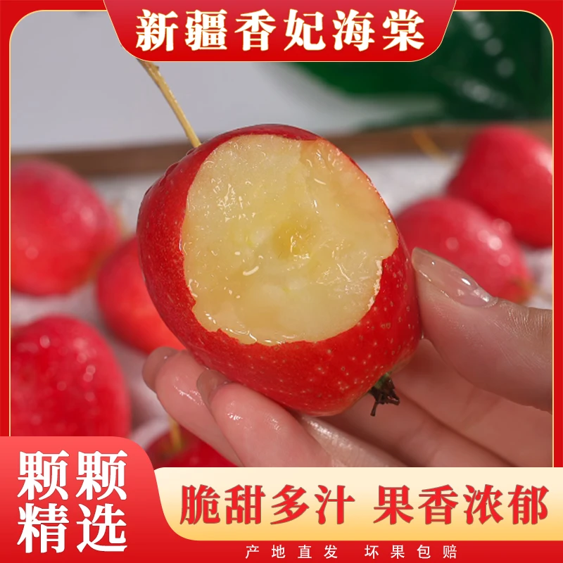 【顺丰空运】新疆香妃海棠新鲜应季水果鸡心果香甜多汁小苹果3斤起