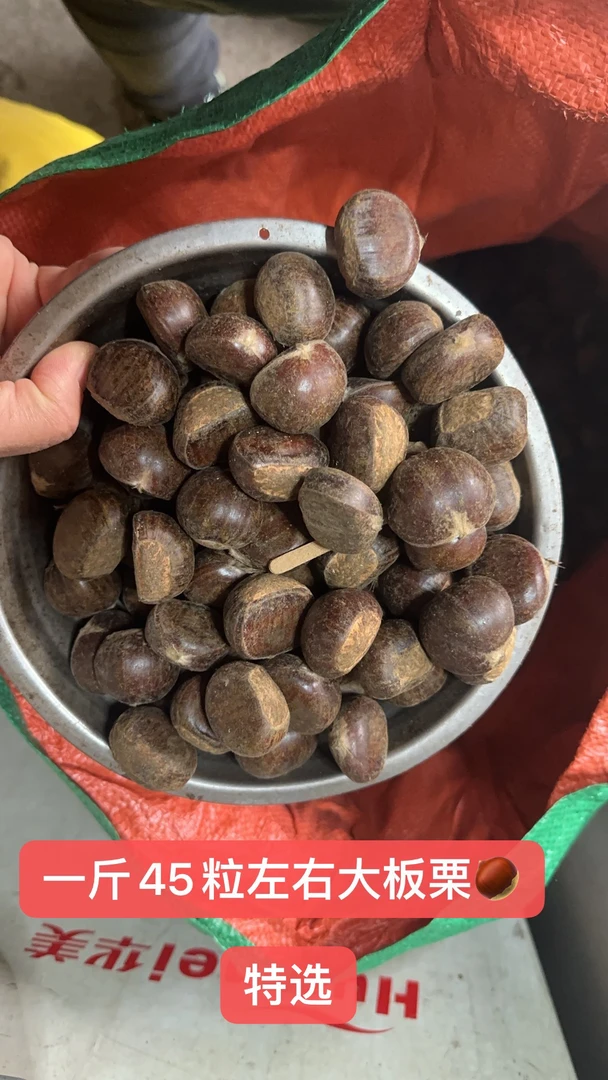 迁西生鲜板栗特选大标5斤装