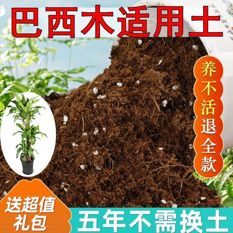 【送礼包】巴西木适用土装疏松透气营养土室内盆栽绿植土专用肥料