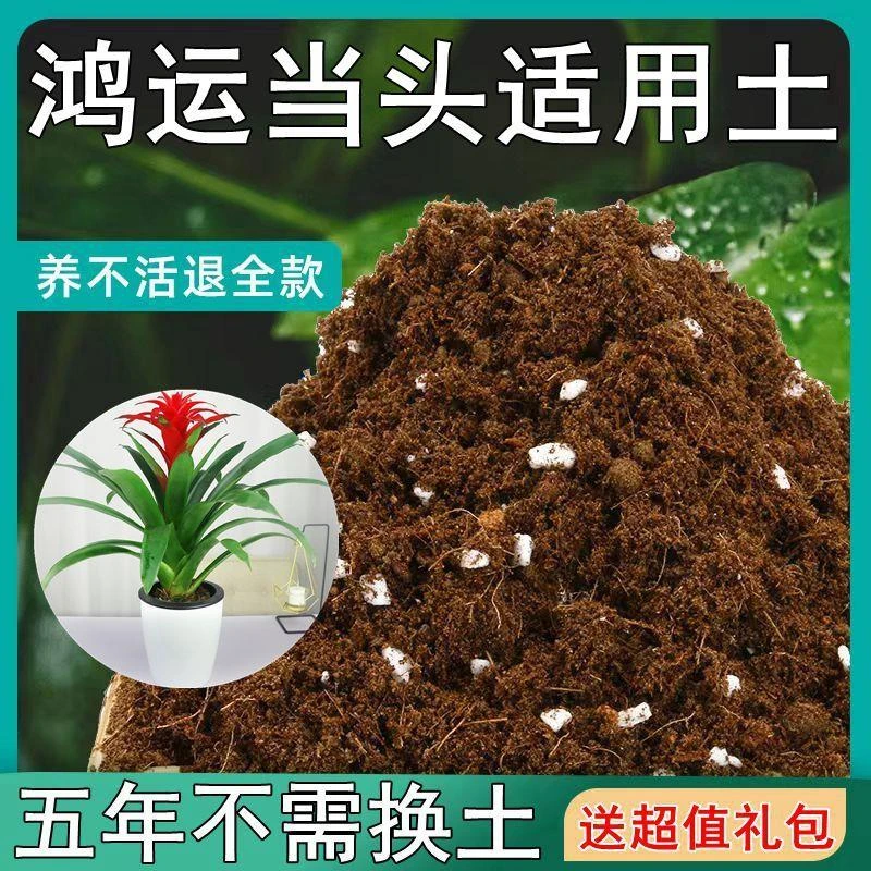 【送礼包】鸿运当头适用土疏松透气盆栽绿植专用室内植物营养土肥