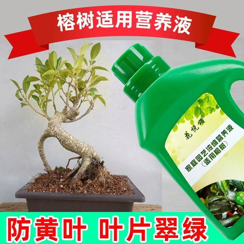 【拍一发三】榕树营养液通用促生根黄叶急救室内盆栽绿植专用肥料