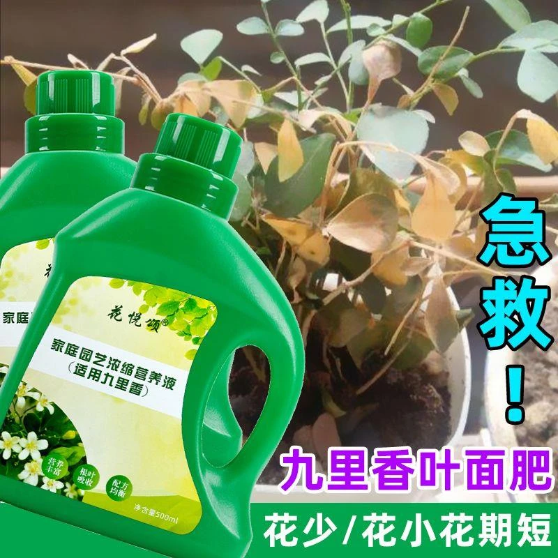 【拍一发三】九里香营养液通用促生根黄叶急救室内盆栽绿植专用肥