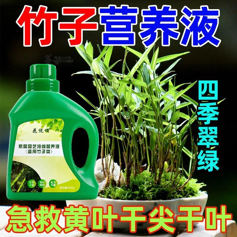 竹子适用营养液家用通用治黄叶促开花室内绿植花卉盆栽专用肥料