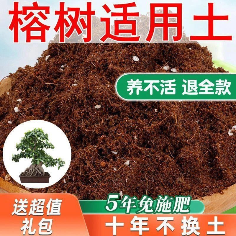 【送礼包】榕树适用土疏松透气椰糠土家用通用型营养土专用肥料