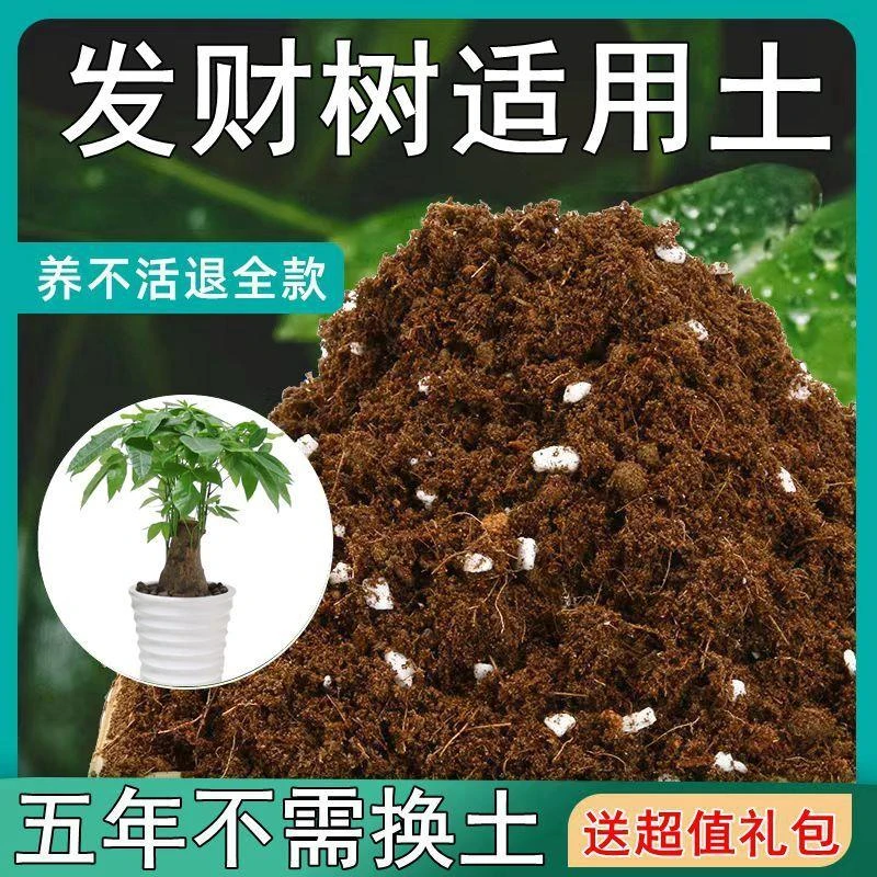 【送礼包】发财树适用土疏松透气盆栽绿植专用室内植物营养土肥料