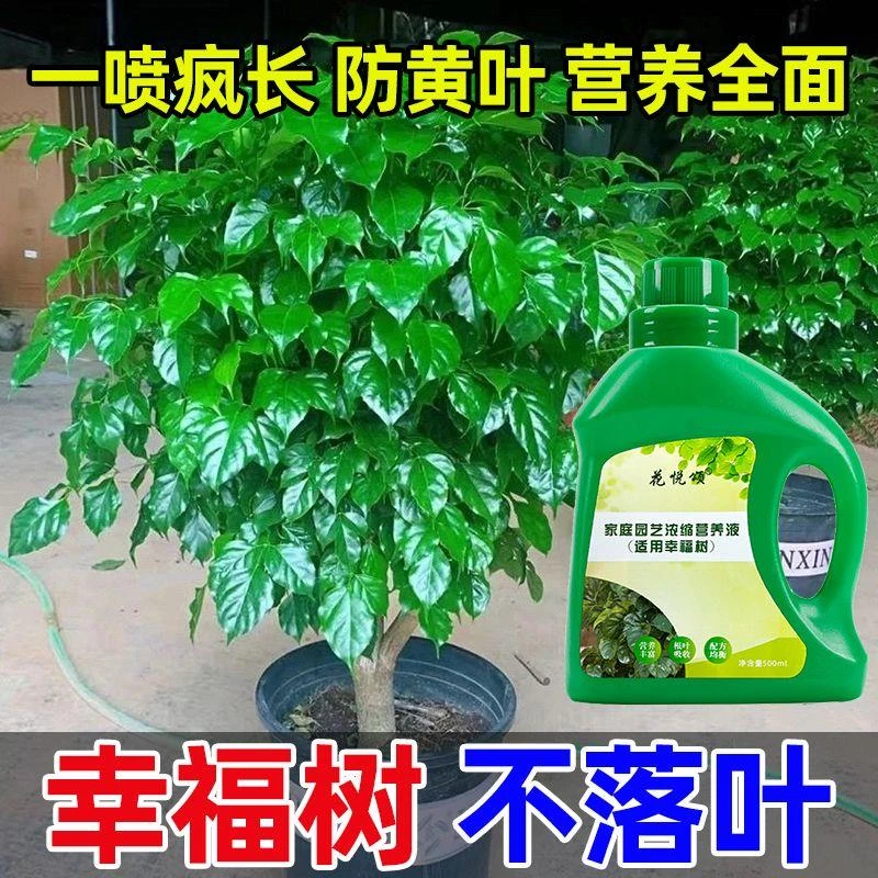 幸福树适用营养液家用通用治黄叶促开花室内绿植花卉盆栽专用肥料