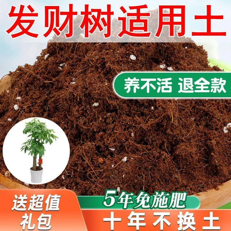 【送礼包】发财树适用土疏松透气椰糠土家用通用型营养土专用肥料