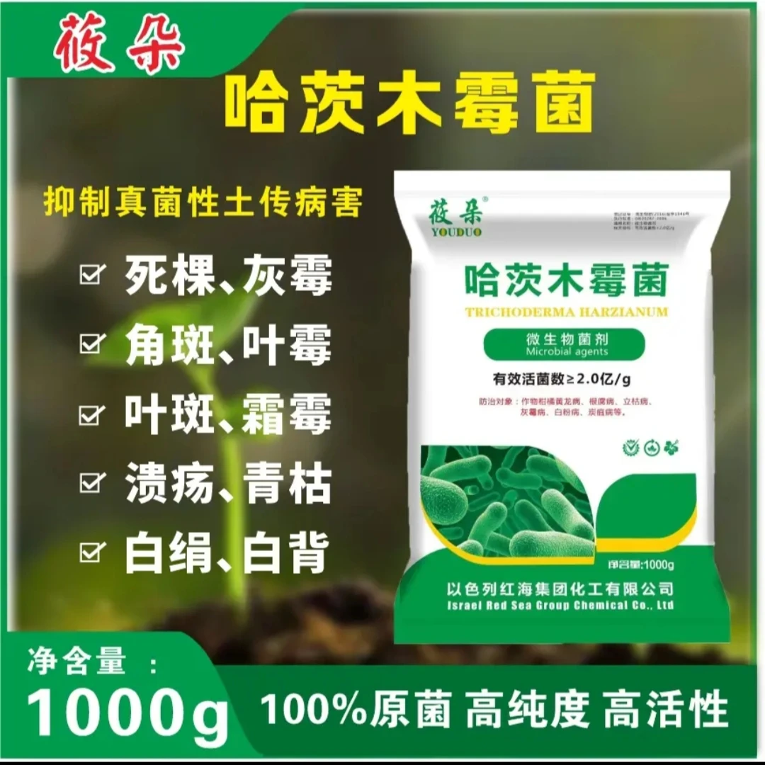 哈茨木霉菌  抑制真菌性土传病害