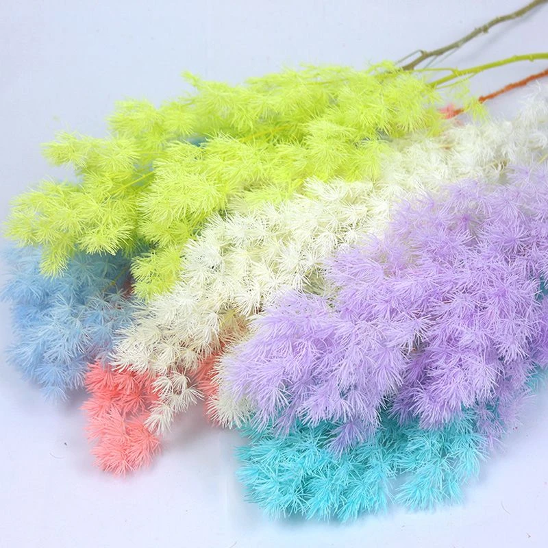 短支永生蓬莱松花店花材手工diy专用