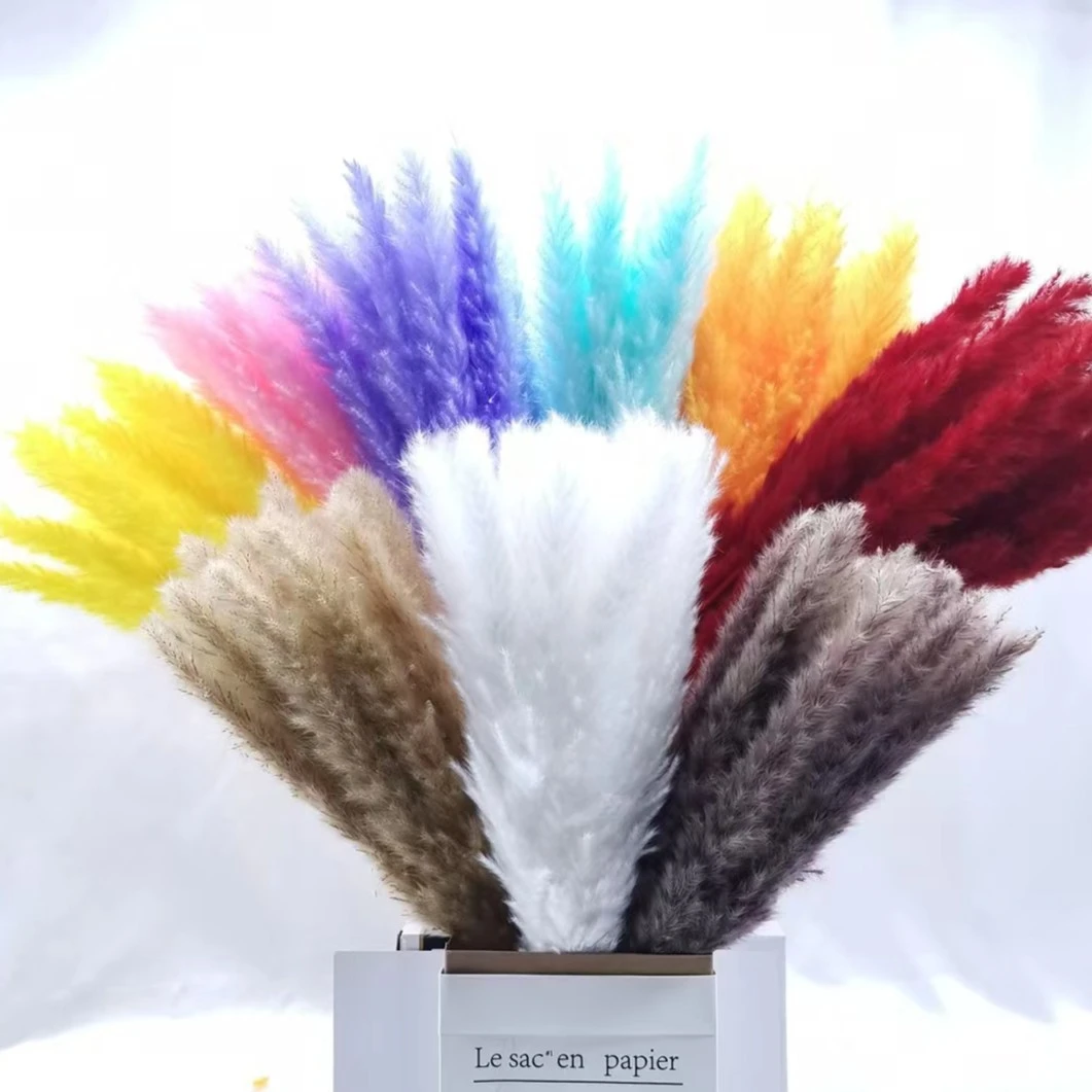 永生小芦苇客厅家庭欧美风网红新年烟花花束必备花材拍照手工摆放