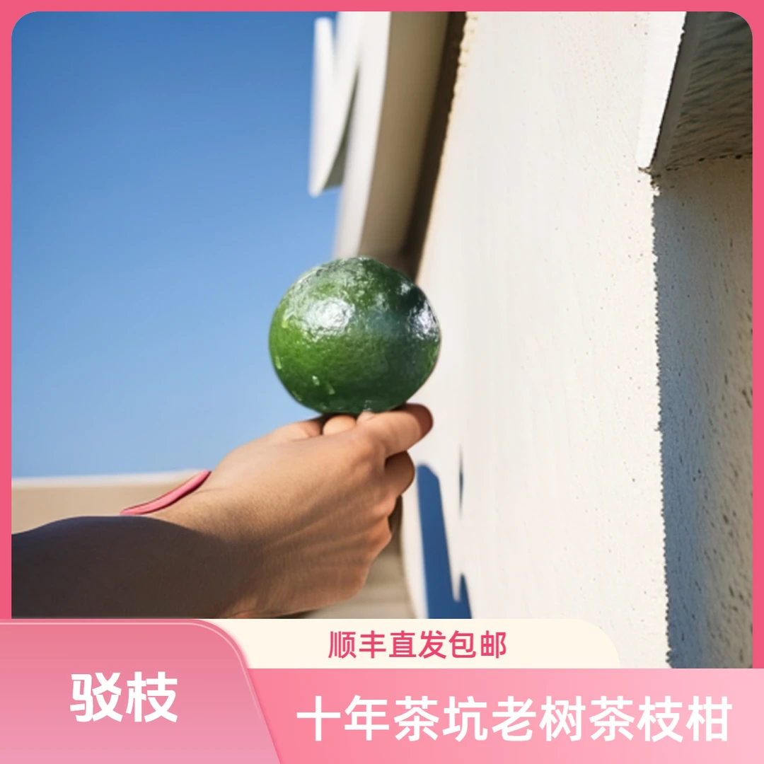 【驳枝】十年茶坑老树新会陈皮茶枝柑鲜果顺丰直发