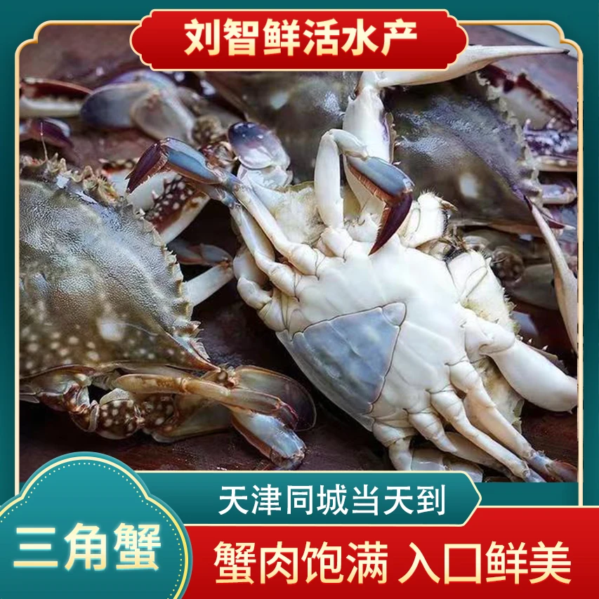 三角蟹+皮皮虾【保鲜不保活】一只1两左右 海产 2斤起 断氧
