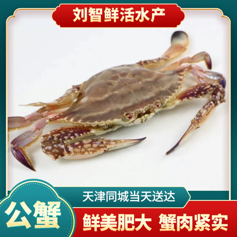 【保鲜不保活】三角蟹（单只1-2两左右 每斤6-7只左右）
