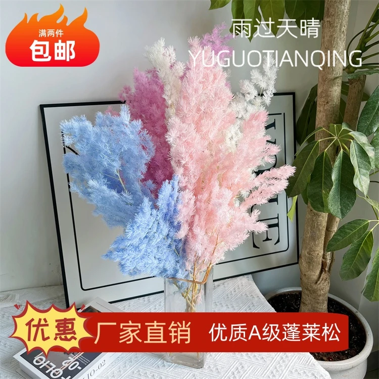 永生花蓬莱松干花北欧风花束高级轻奢家居摆设插花真花树枝婚庆花