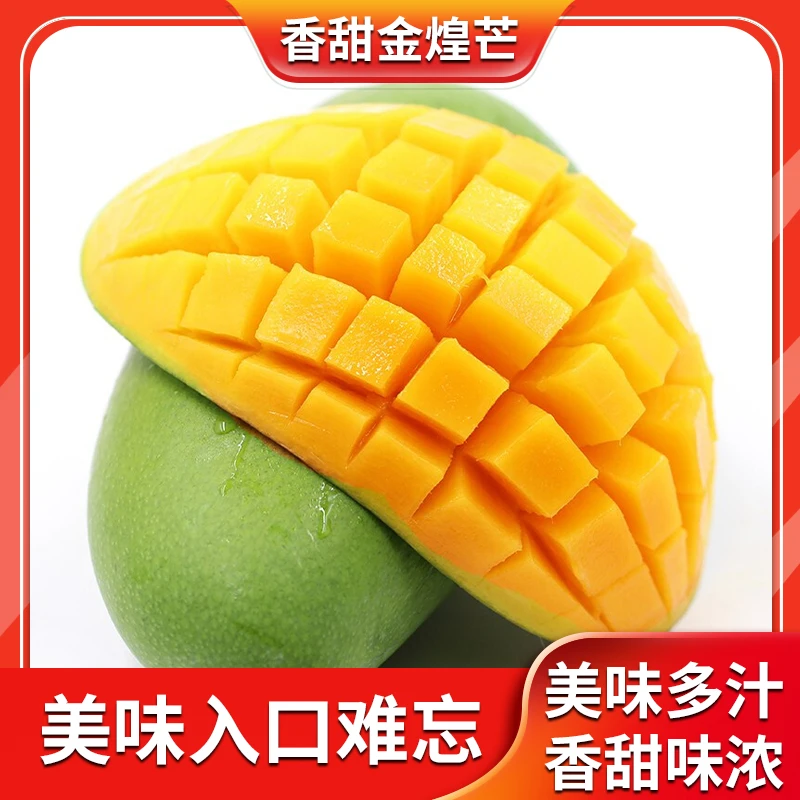 【放软食用】广西青皮金煌芒5-10斤装应季新鲜产地直发