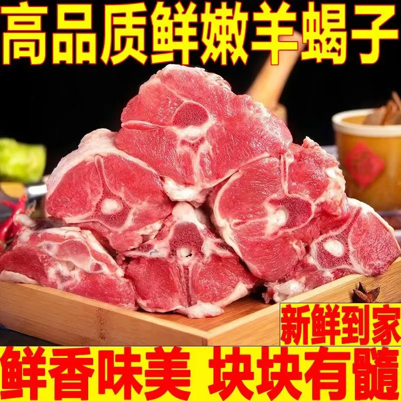 新鲜羊蝎子 带肉羊脊骨 羊蝎子5斤