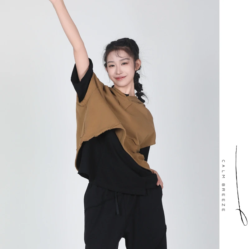 Jane express/简表达24春新休闲百搭复古小众纯色连帽卫衣CWY4002