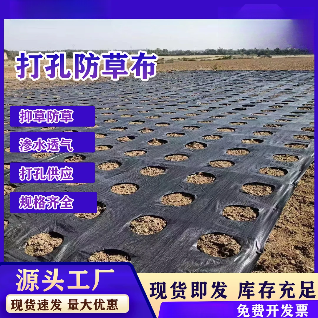 药材果园打孔整卷地布批发防草布除草布耐用地膜盖草布除草地布