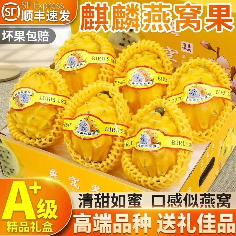 【顺丰包邮】海南冰糖燕窝果3-5斤精品礼盒装新鲜超甜营养送礼佳品