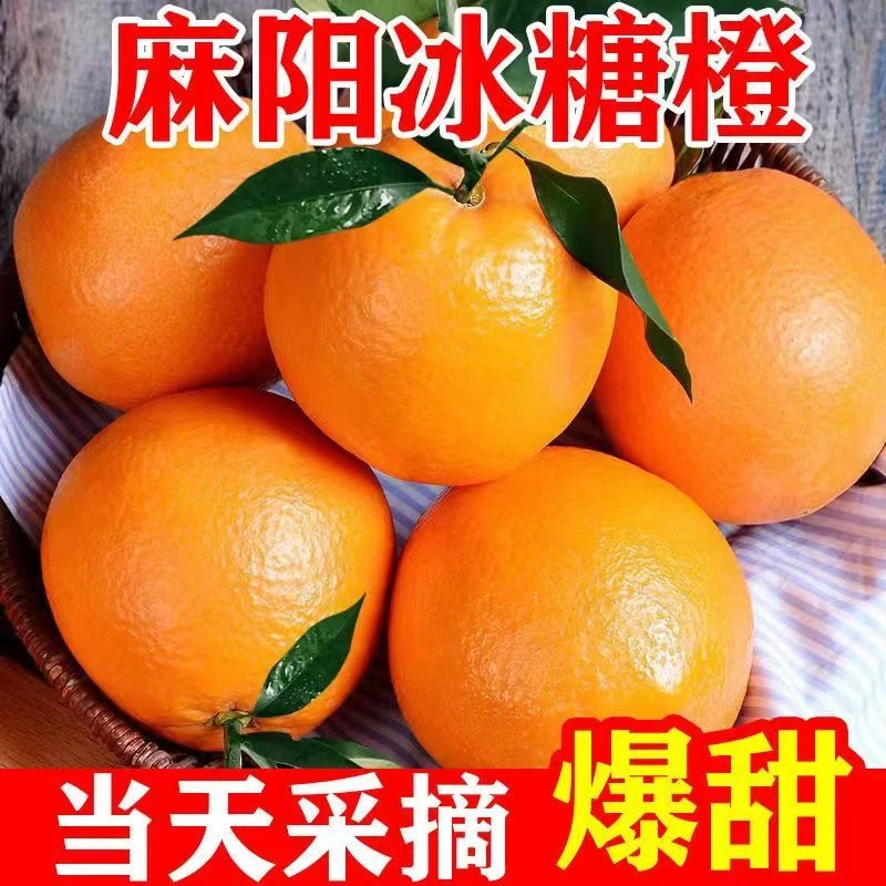 正宗麻阳冰糖橙新鲜手剥橙子香甜多汁当季水果小脐橙孕妇9斤整箱