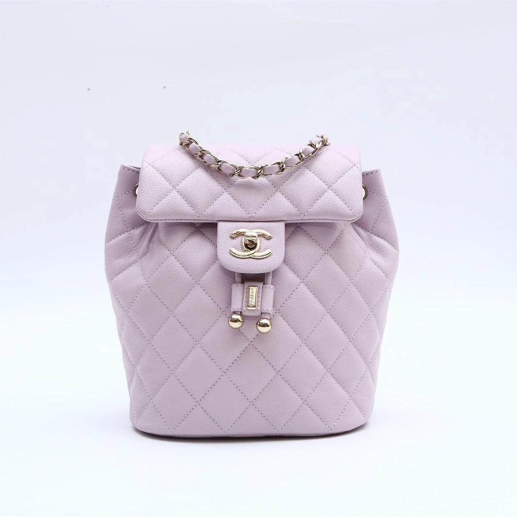 99新 Chanel/香奈儿 小花双双 244888 萨尔斯堡 双肩包 芯片开