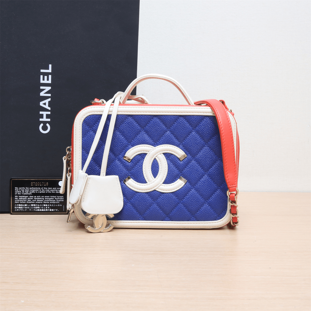 95新 Chanel/香奈儿 小花姑姑P224727124 相机包 横版 配手柄