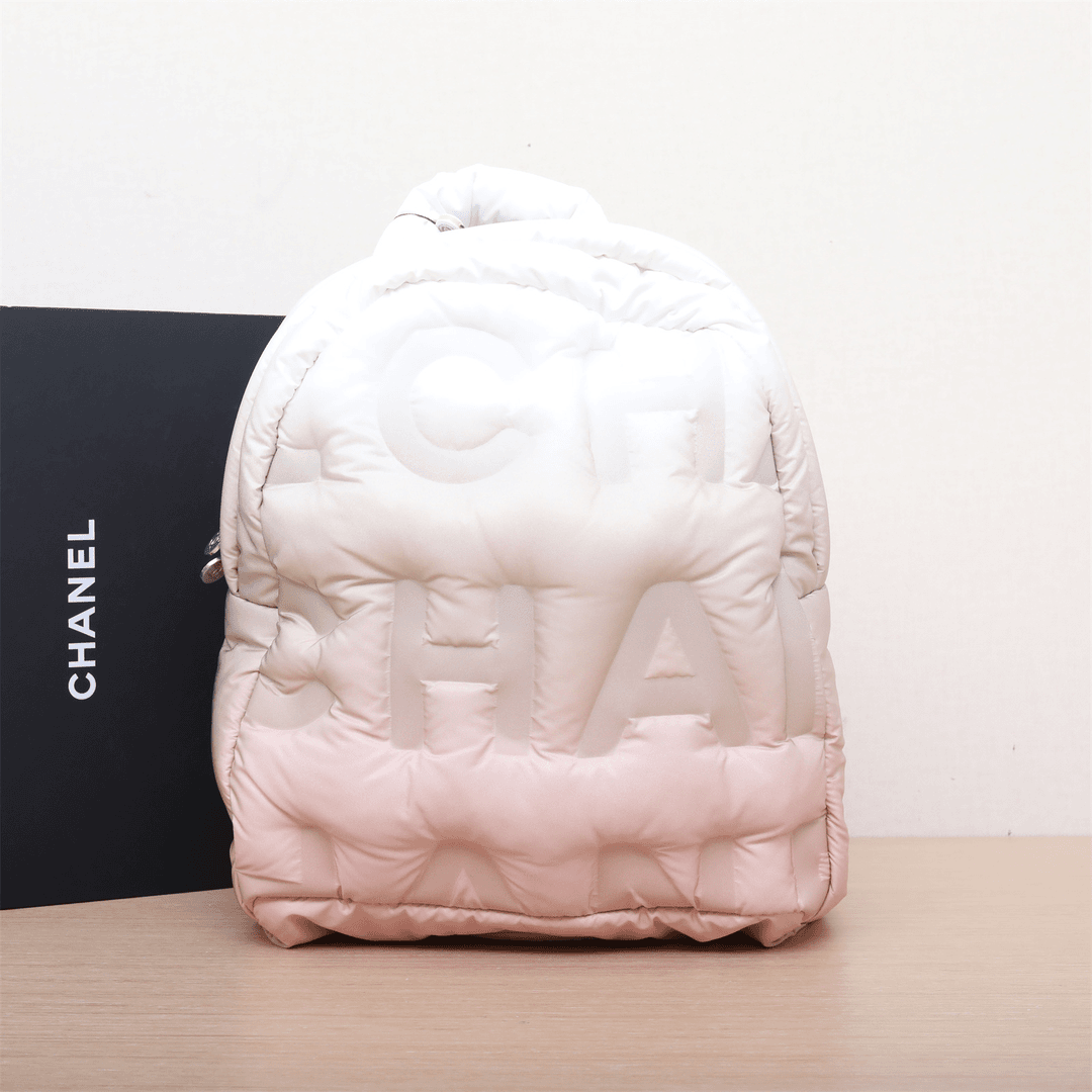 95新 Chanel/香奈儿 小花双双 532316 字母渐变双肩包 25开 银扣