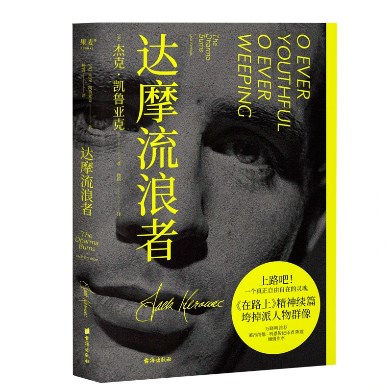 达摩流浪者  正版书籍精选好书