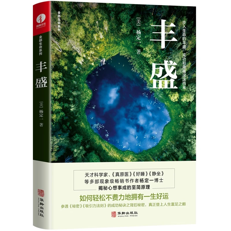 杨定一丰盛  正版书籍精选好书