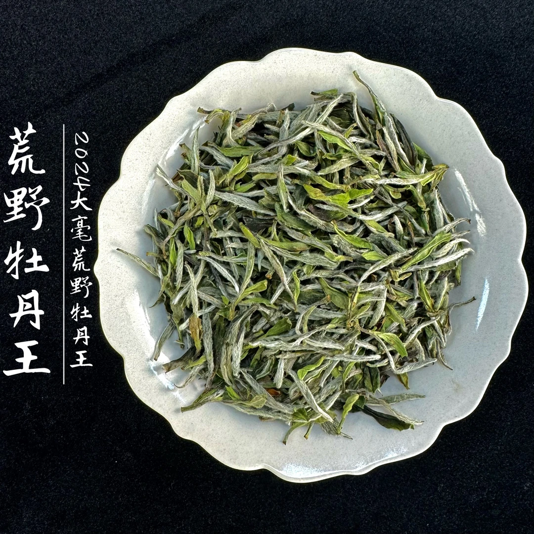 【荒野牡丹王】2024荒野大毫牡丹王 白茶 春茶