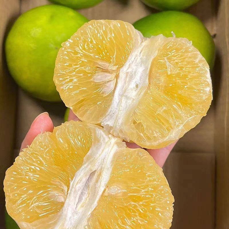 福建平和翡翠爆汁葡萄柚清甜多汁送榨汁器  坏果包赔