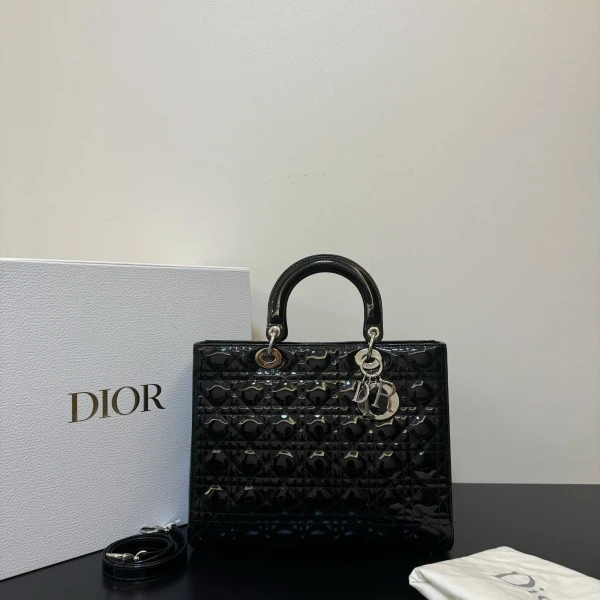 95新/迪奥/包包/241016IQ0006/C8856011018