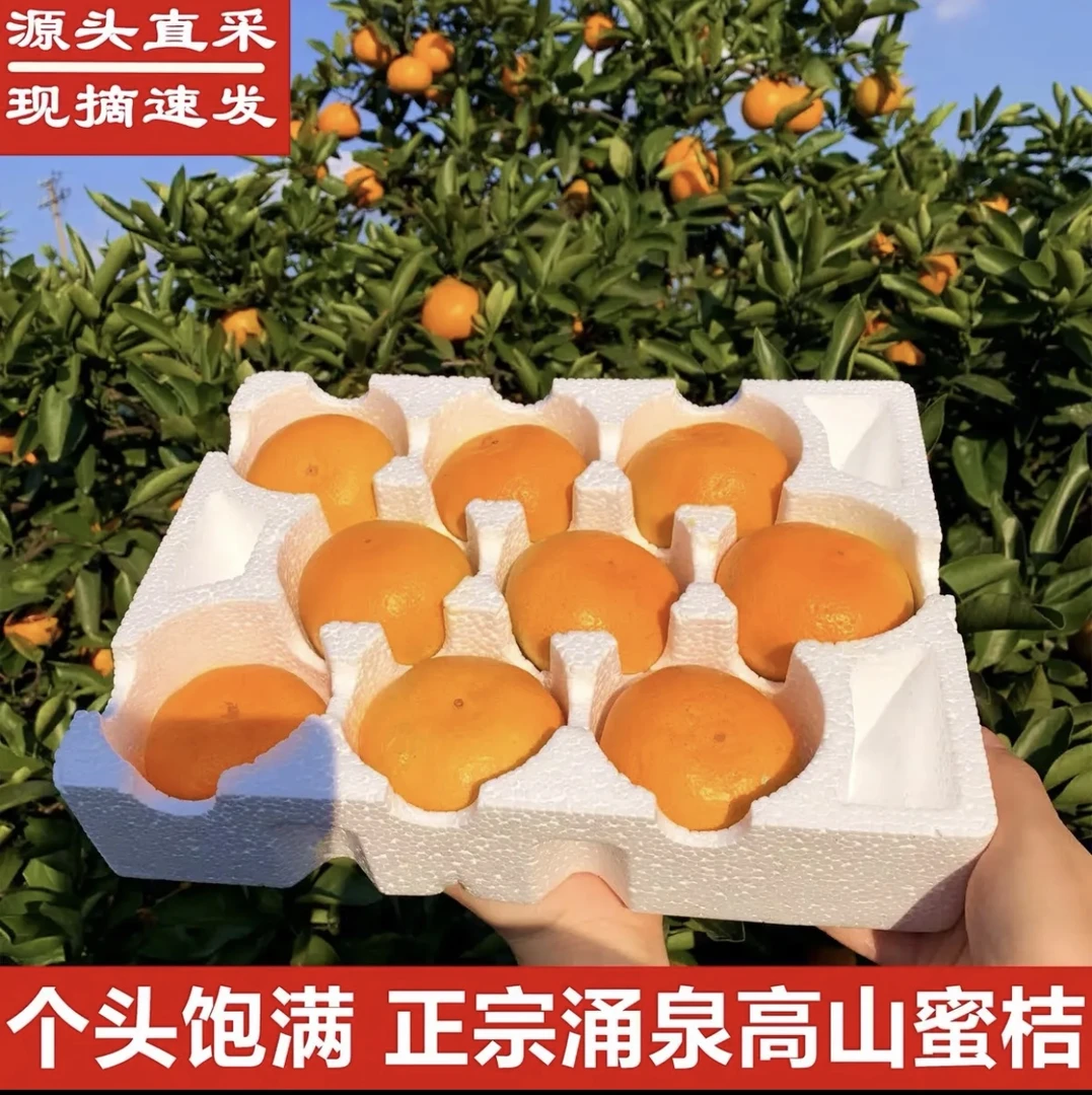 正宗临海涌泉蜜桔无籽无核皮薄肉厚入口化渣当季水果现摘新鲜橘子