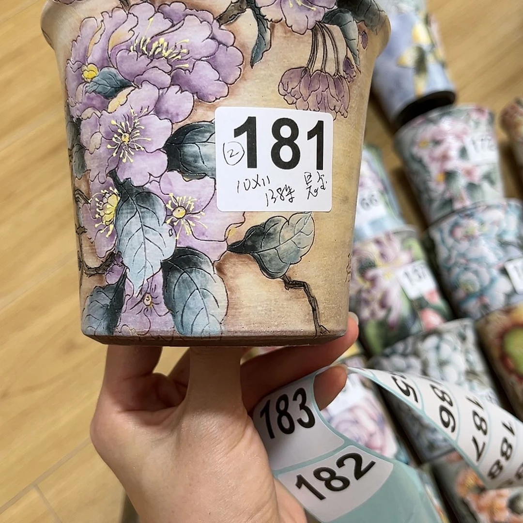 红陶20CM（含）-50CM（不含）晨*