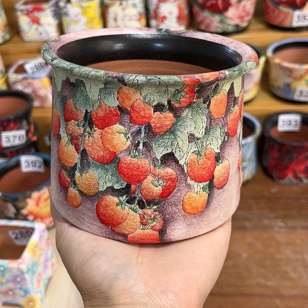 红陶20CM（含）-50CM（不含）果*粉