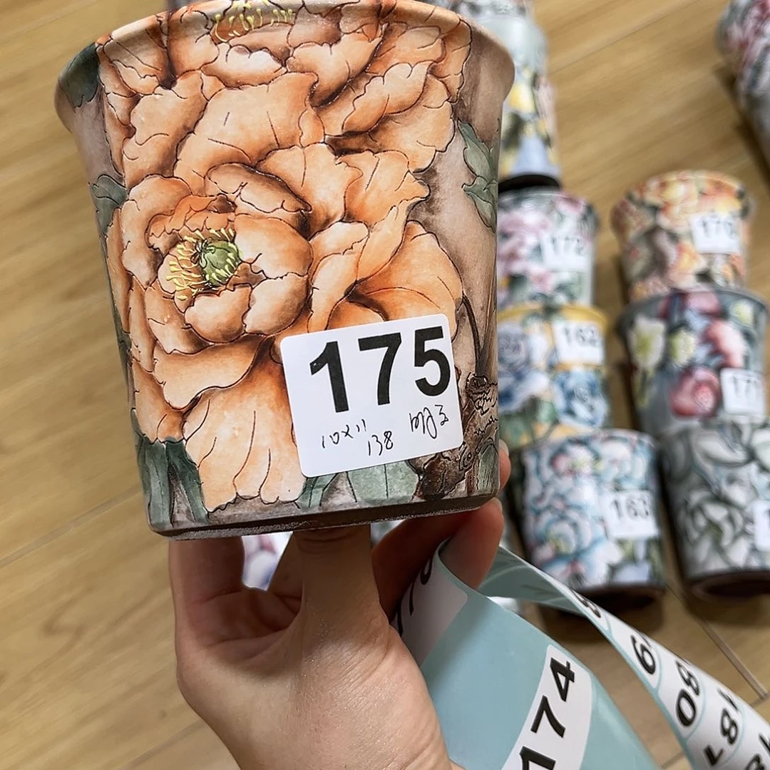 红陶20CM（含）-50CM（不含）明*°