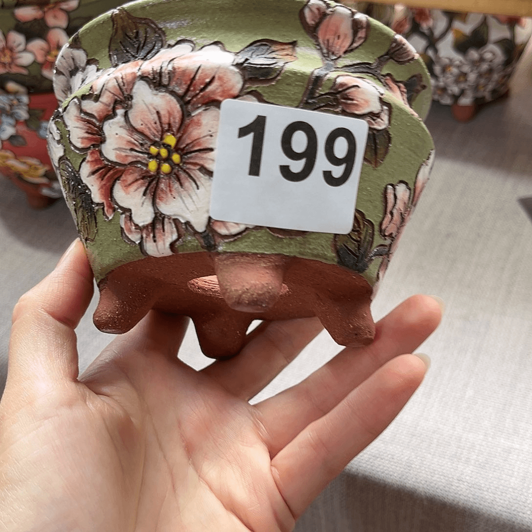红陶20CM以下。。。。。