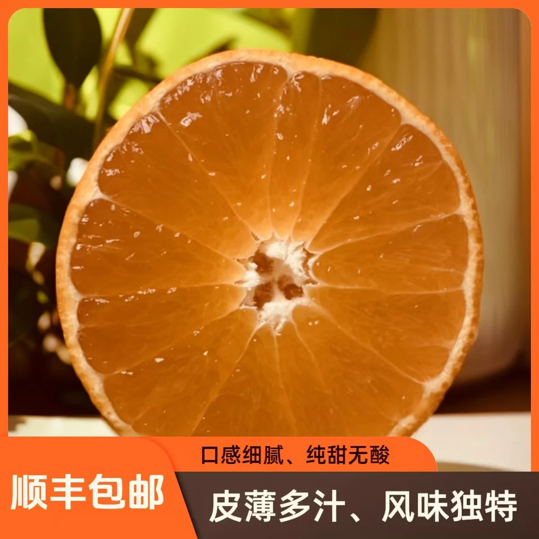 【象山晓塘原产地红美人柑橘】自家农场礼盒装 净重约5斤现摘现发