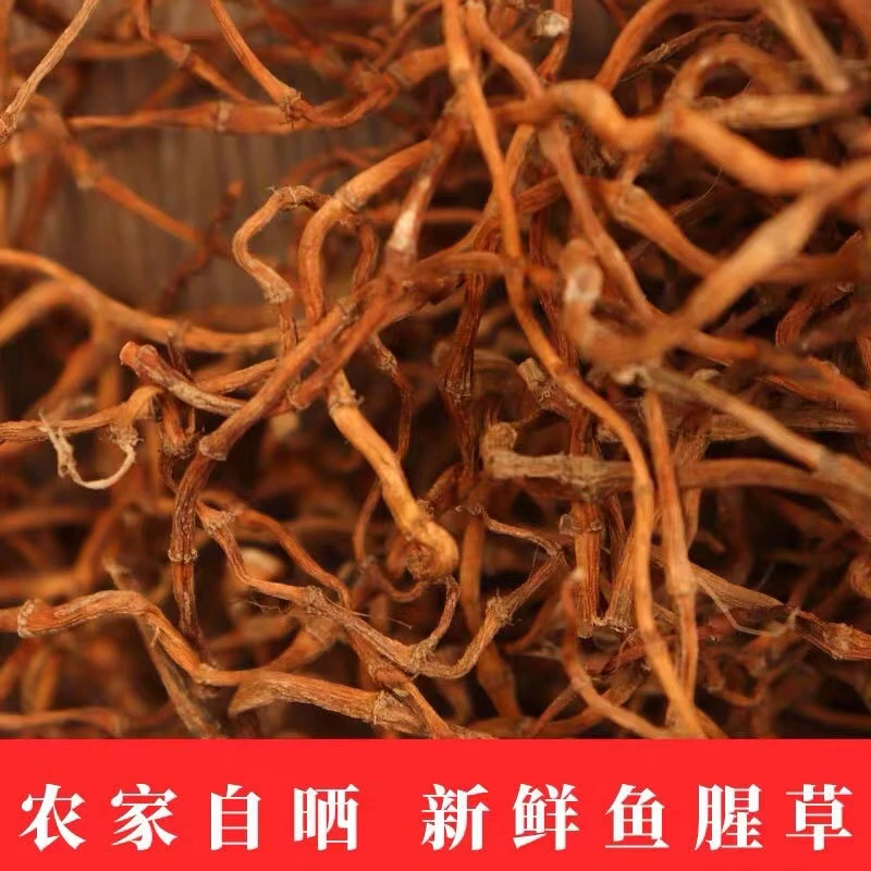 湖北农家自种植鱼腥草自然晒干露天晒干折耳根节节根泡茶煲汤蔬菜