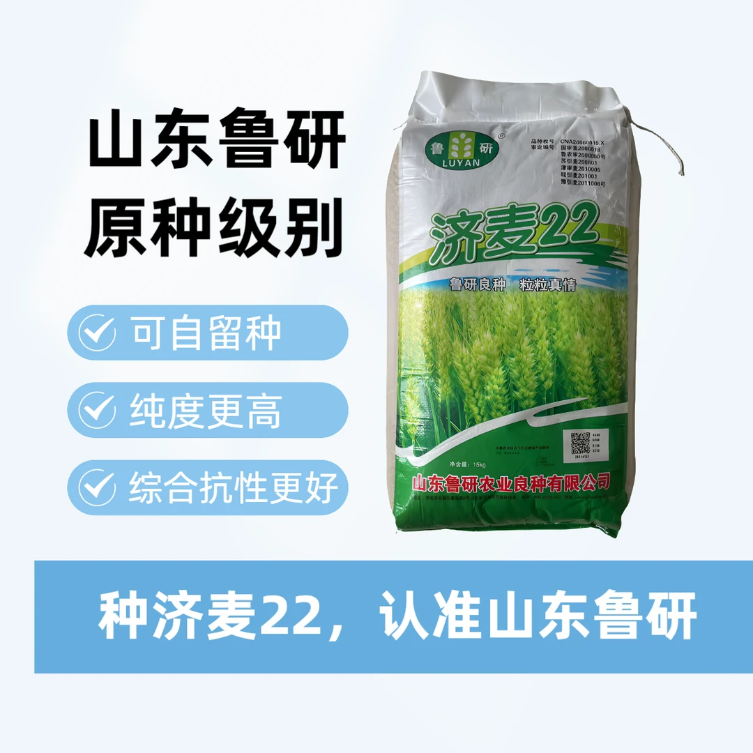 山东鲁研原种级别，济麦22种子30斤一袋良种精选