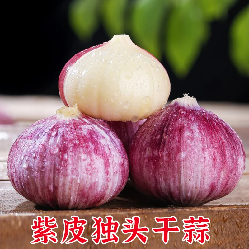 干蒜独头蒜云南紫皮新蒜大蒜小蒜批发祘爽口自然鲜美香辣肉厚饱满