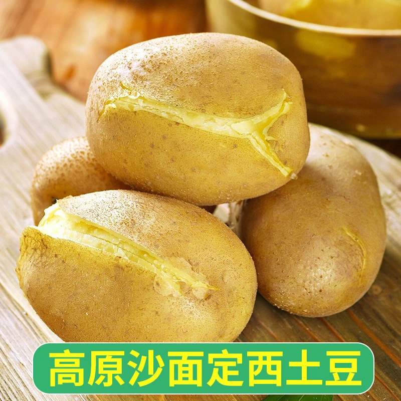 甘肃定西土豆新鲜当季洋芋黄心大马铃薯沙面软糯自然农家种植包邮