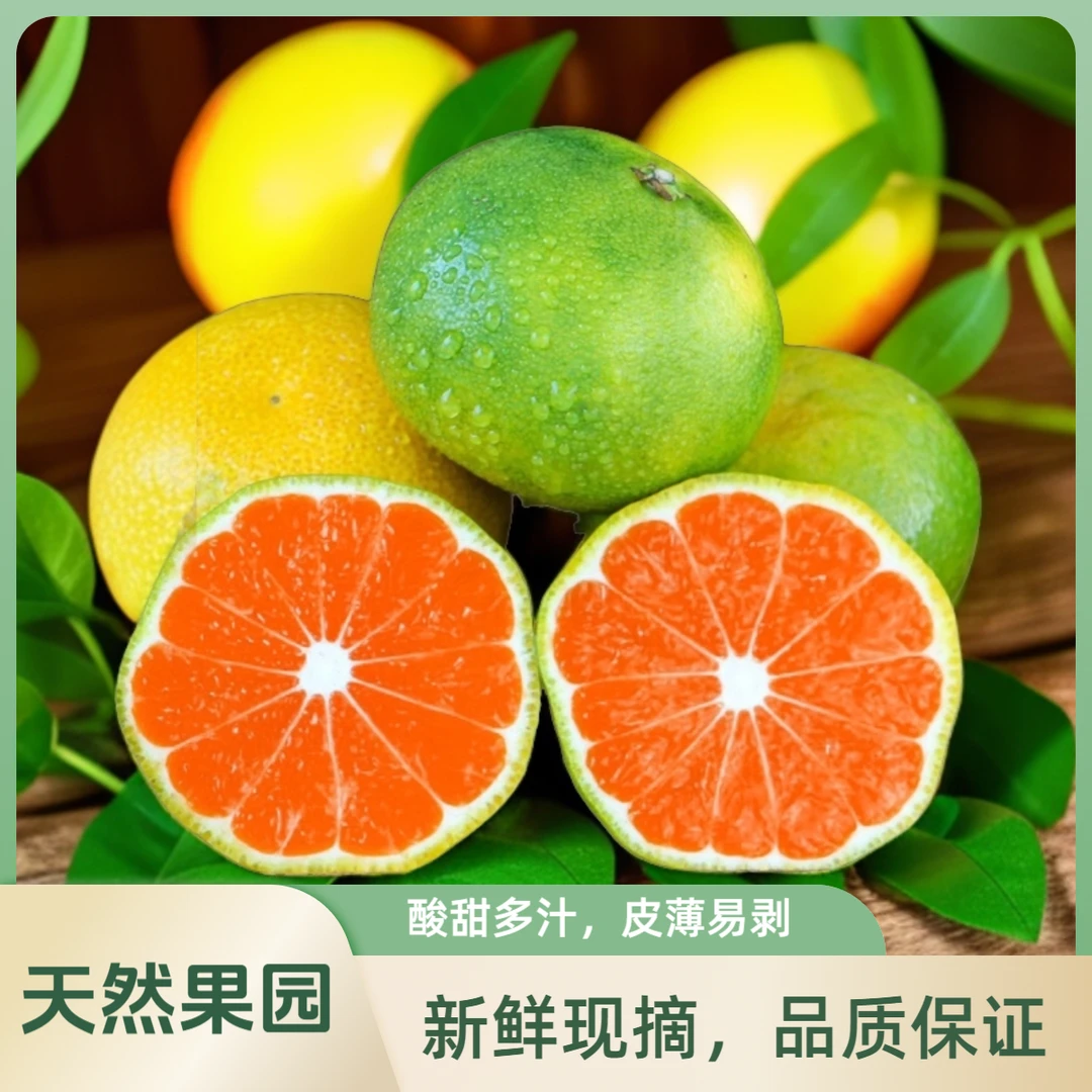无籽蜜桔云南现摘现发农家柑橘子酸甜多汁应当季新鲜孕妇水果蜜橘