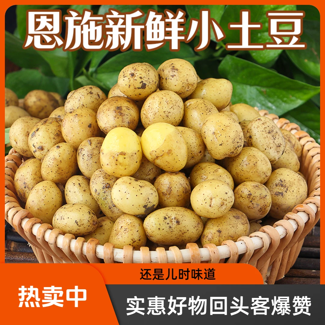 网红恩施黄心小土豆新鲜农家高山种植现挖现发迷你马铃薯皮薄洋芋