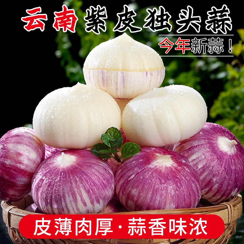 干大蒜正宗紫皮独头蒜大蒜头新鲜大祘云南大理蔬菜调味营养爽口