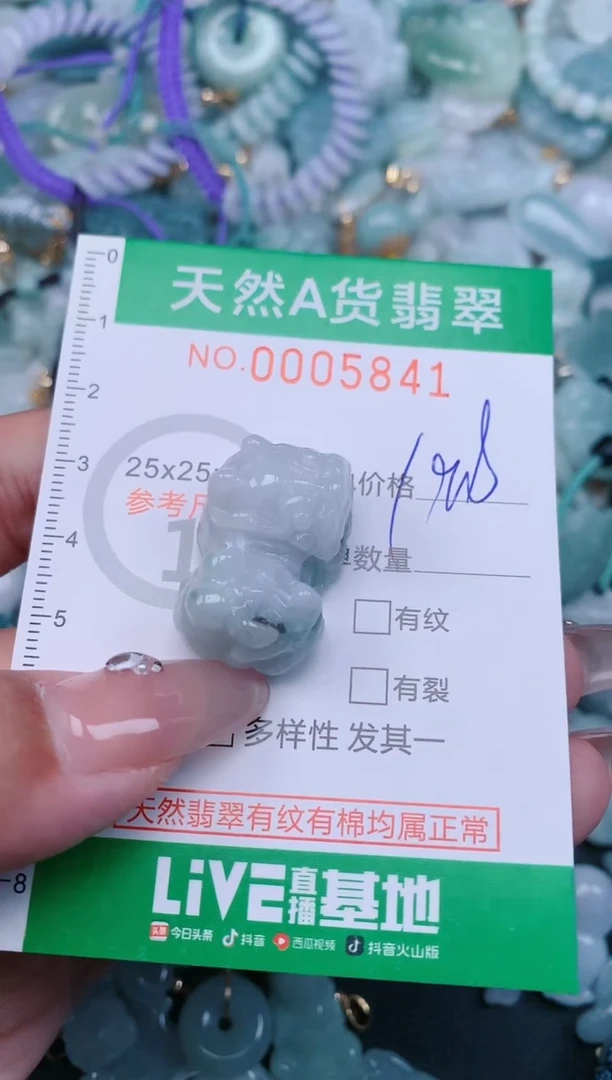 【闪购商品】翡翠颈饰未镶嵌.0005841