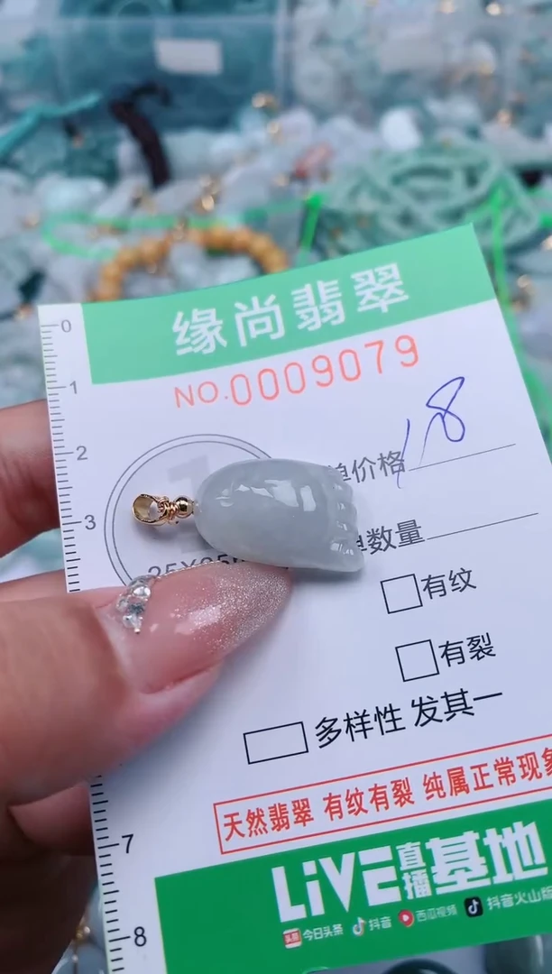 【闪购商品】翡翠颈饰未镶嵌.0009079