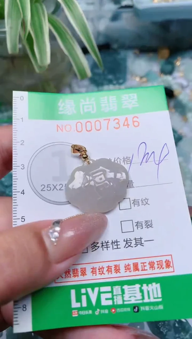 【闪购商品】翡翠颈饰未镶嵌.0007346