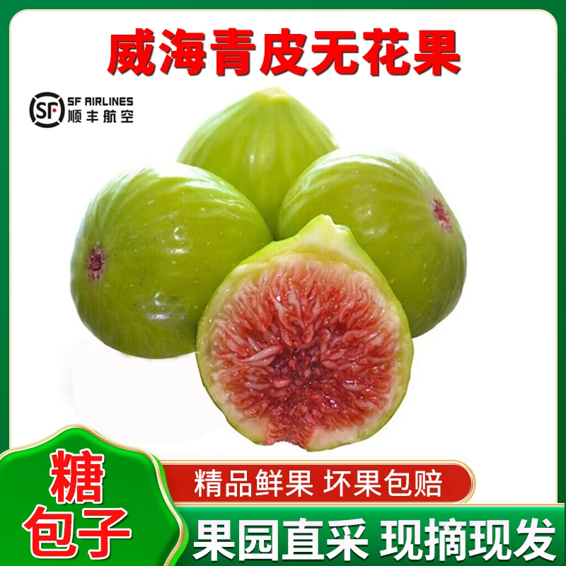 【顺丰空运】威海青皮无花果 当季新鲜水果甜糯精选大果现摘现发