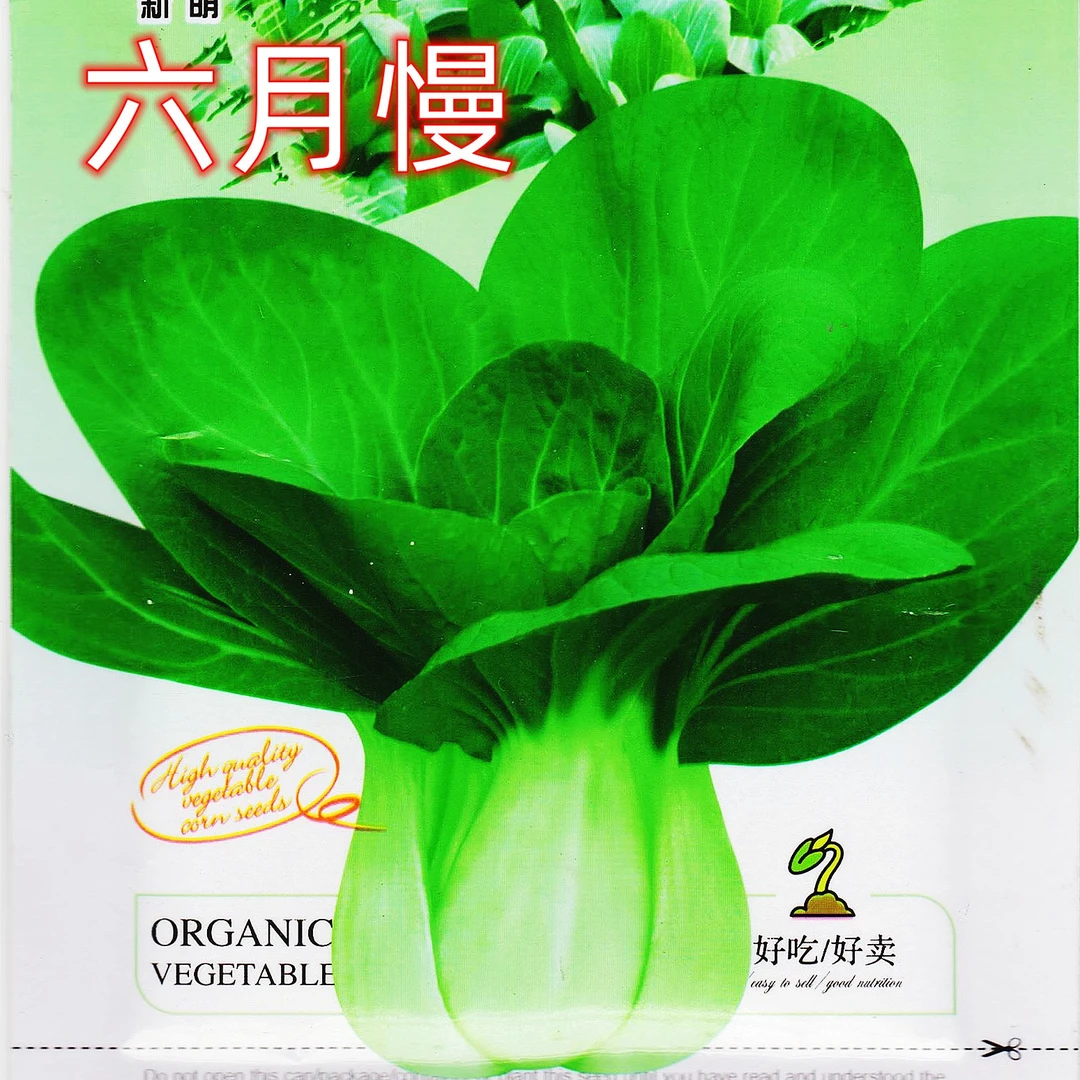 【新品】六月慢种子正宗原装四季蔬菜种小白菜种原种上海青种子